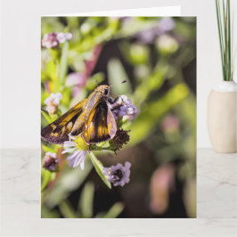 Skipper Butterfly Karte