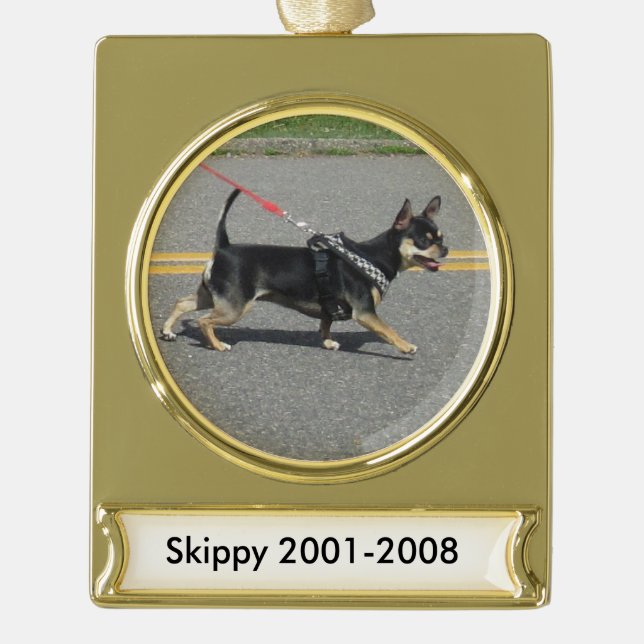 Skippy Chihuahua-Verzierung Banner-Ornament Gold (Vorderseite)