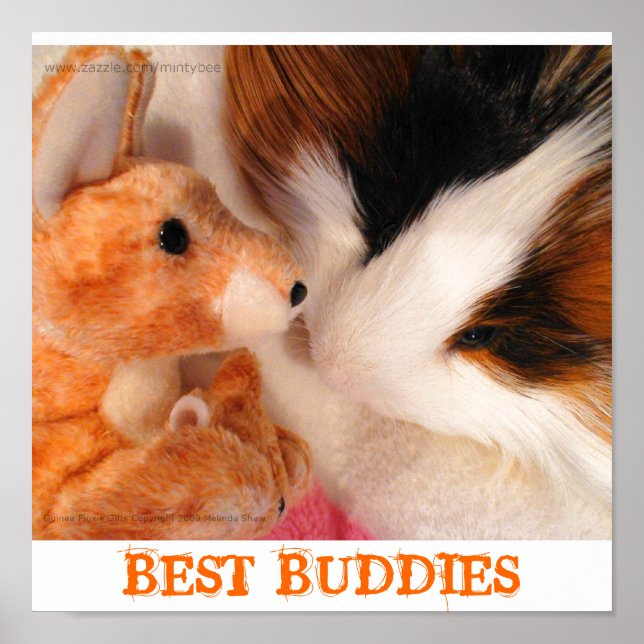 Skippy Pig & Roo Stuffy Poster (Vorne)