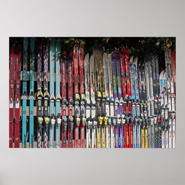Skis Poster (Vorne)