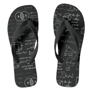Skizze der Mathematik-Musterwissenschaft-Schule ze Flip Flops