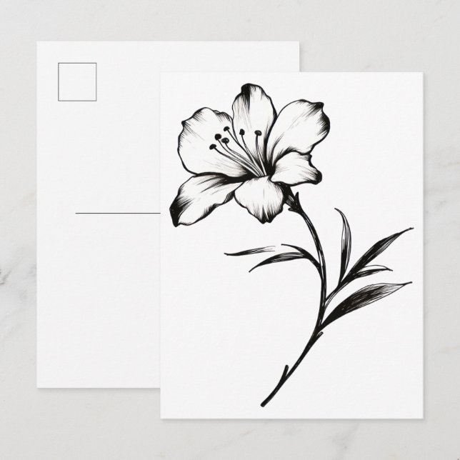 Skizze einer Blume Postkarte (Vorne/Hinten)