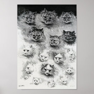 Skizzen der Katze, Louis Wain Poster