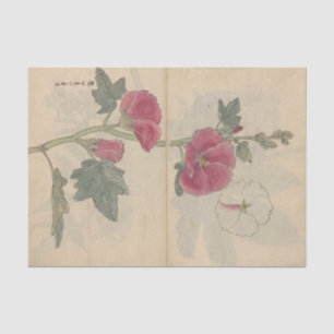 Skizzenbuch Pl. 096 von Ariyoshi Kondo Seidenpapier