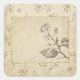 Skizzierte Botanische Vintage Scrapbook-Verzierung Quadratischer Aufkleber