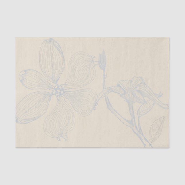 Skizzierte Dogwood Branch Lg Skala auf Parchel Seidenpapier (Vorderseite)