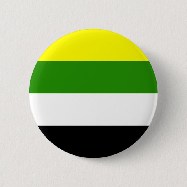 Skoliosexuelle Flagge Button (Vorderseite)