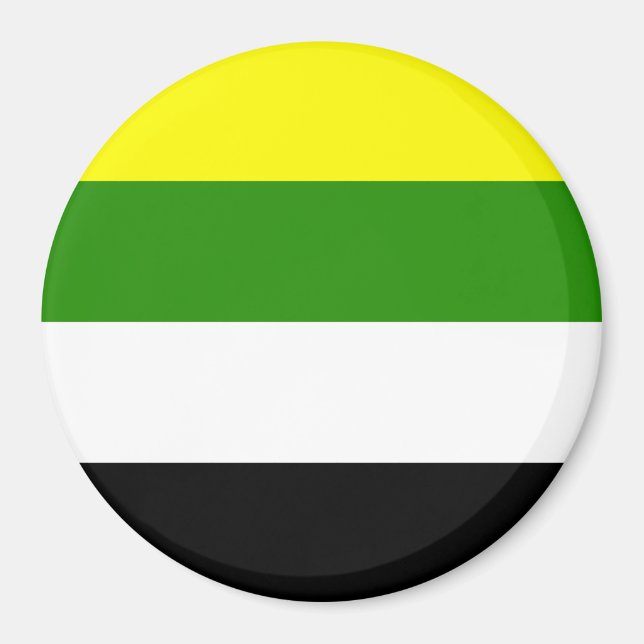 Skoliosexuelle Flagge Magnet (Vorne)
