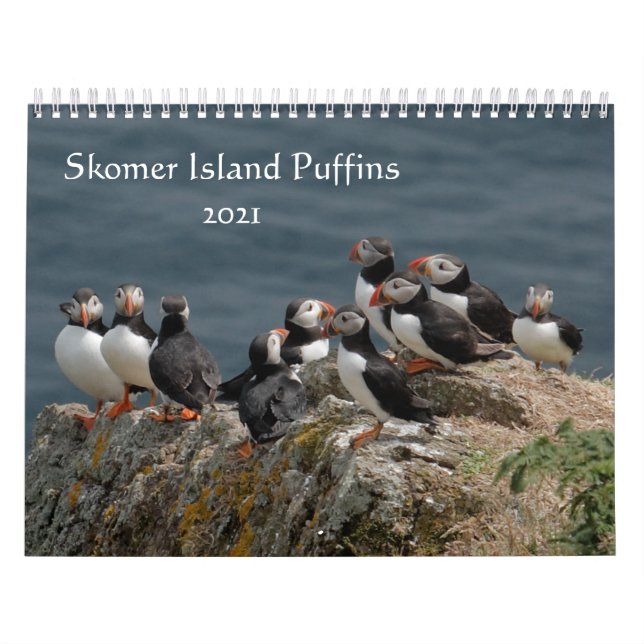 Skomer Island Puffins 2021 Wales Kalender (Titelbild)