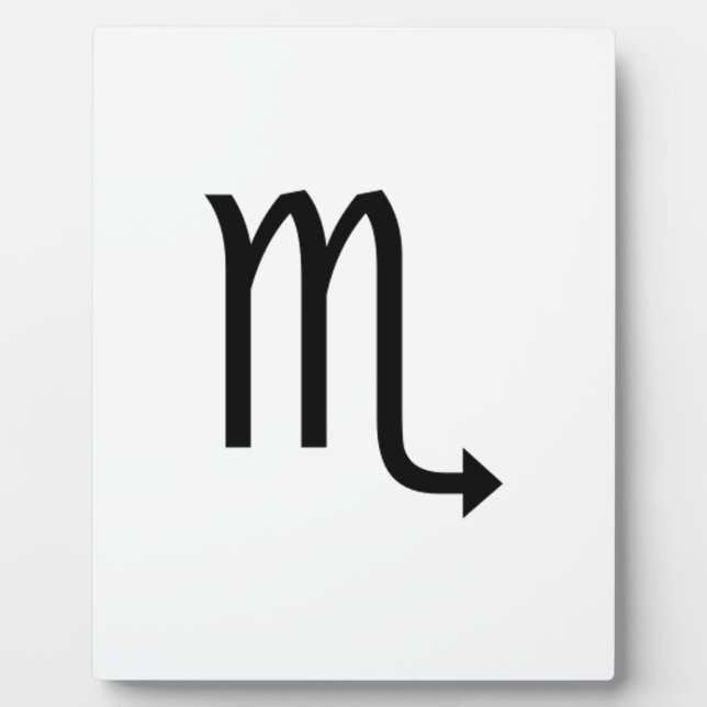 Skorpio Fotoplatte (Vorderseite)