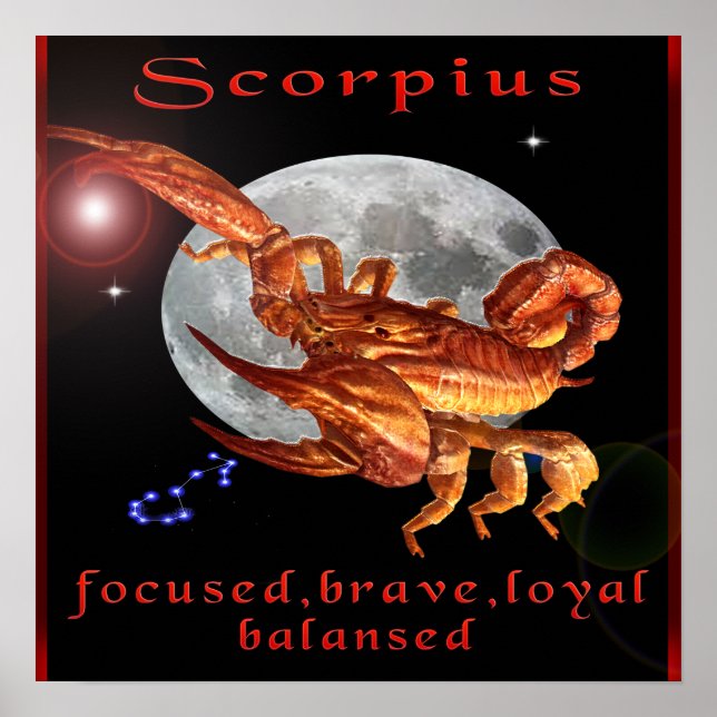 Skorpio Poster (Vorne)