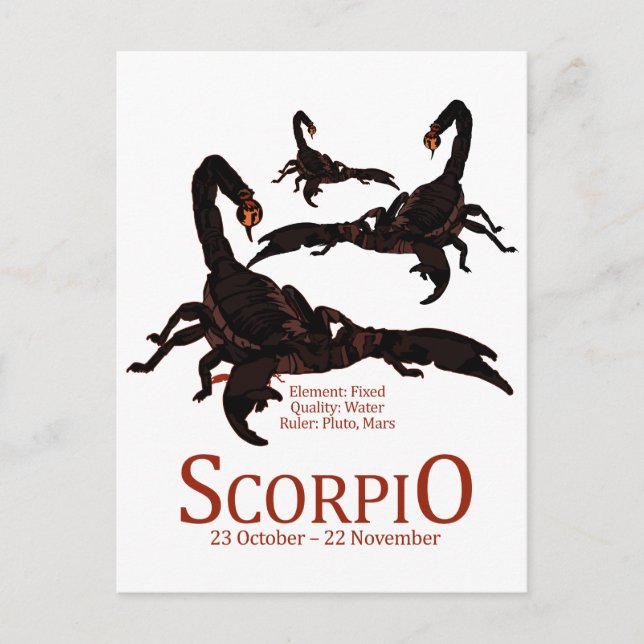 Skorpio Postkarte (Vorderseite)
