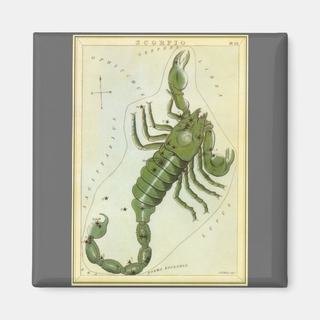 Skorpio, Vintager Sternbild Urania-Spiegel Magnet (Vorne)