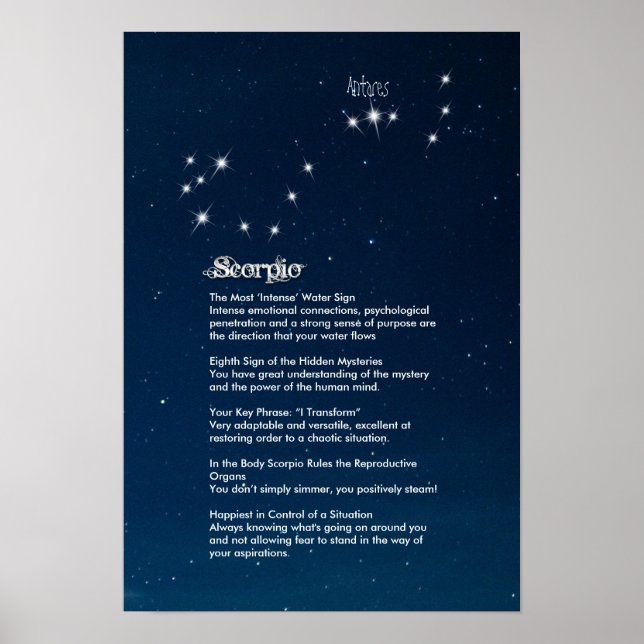 Skorpiocharakteristikplakat Poster (Vorne)