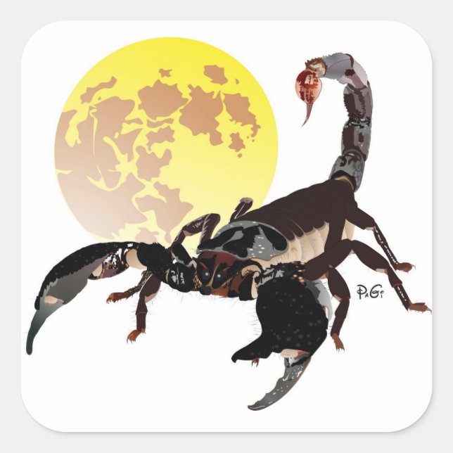 Skorpion Aufkleber (Vorderseite)