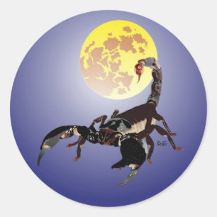 Skorpion Aufkleber