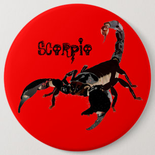 Skorpion Buttons