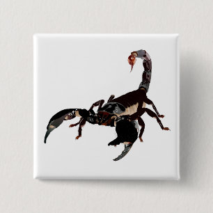 Skorpion Buttons