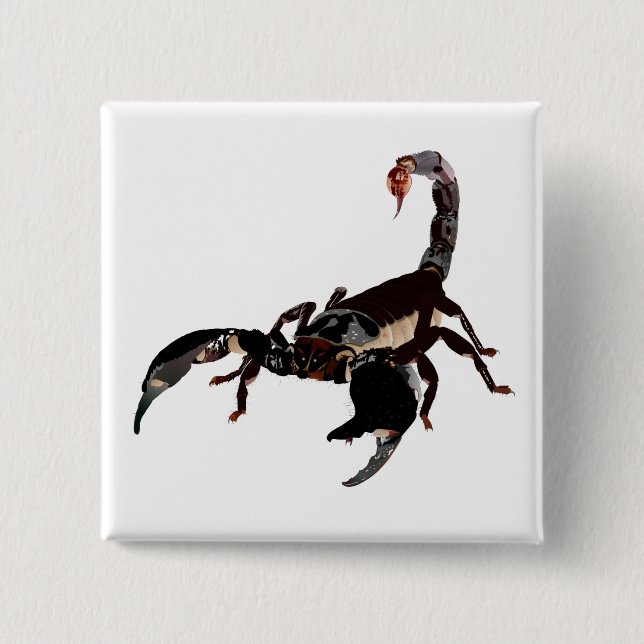 Skorpion Buttons (Vorderseite)