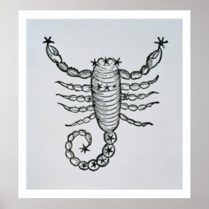 Skorpion (der Skorpion) eine Illustration vom 'P Poster