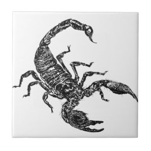 Skorpion Fliese