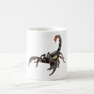 Skorpion Kaffeetasse