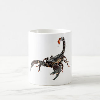 Skorpion Kaffeetasse