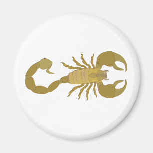 Skorpion Magnet