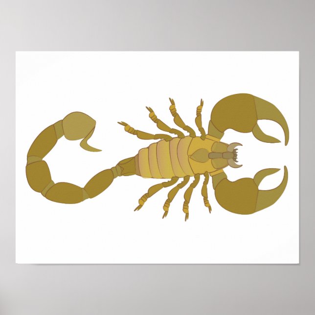 Skorpion Poster (Vorne)