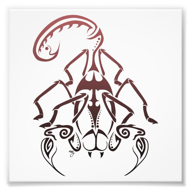 Skorpion Print Fotodruck (Vorne)