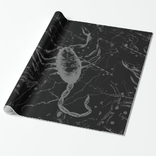 Skorpion-Sternbild Hevelius 1690 Vintage Schwarz Geschenkpapier