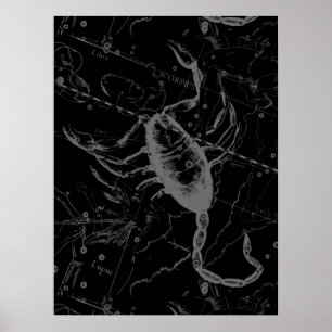 Skorpion-Sternbild Hevelius 1690 Vintage Schwarz Poster