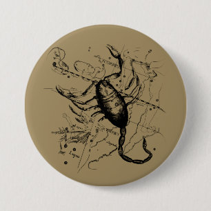 Skorpion-Sternbild Hevelius um 1690 Vintage Button