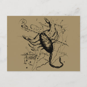 Skorpion-Sternbild Hevelius um 1690 Vintage Postkarte