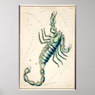 Skorpion Sternbild Kunstdruck Antik Poster