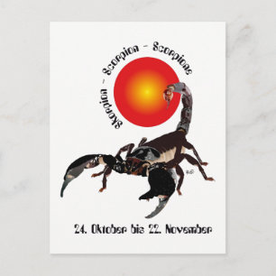 Skorpion Sternzeichen Postkarte