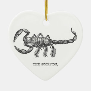Skorpion Tier Geschenk gruselige Tiere Keramikornament
