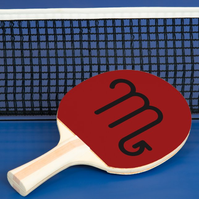 Skorpion Tischtennis Schläger (InSitu)