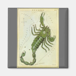 Skorpion, Vintage Konstellation Urania's Spiegel Magnet