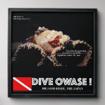 Skorpionfisch auf dem Schwamm