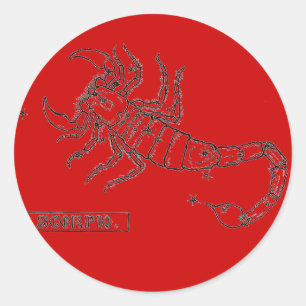 Skorpions-Aufkleber Runder Aufkleber