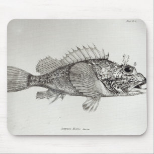 Skorpions-Fische Mousepad