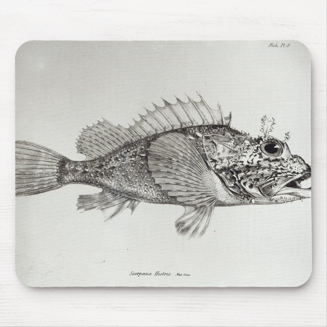 Skorpions-Fische Mousepad (Vorne)