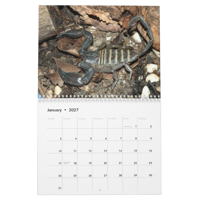 Skorpions-Wandkalender Kalender (Jan 2027)