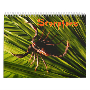 Skorpions-Wandkalender Kalender