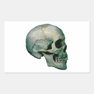 Skull aus dem Profil Rechteckiger Aufkleber