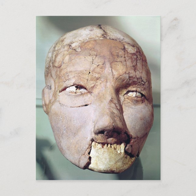 Skull, aus Jericho, 7000-6000 v. Chr. Postkarte (Vorderseite)