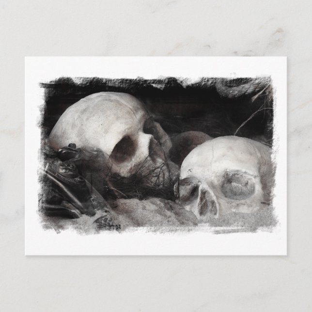 Skull Buddies Postkarte (Vorderseite)