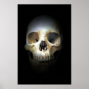 Skull Fantasy Art Rock Punk Heavy Metal Poster