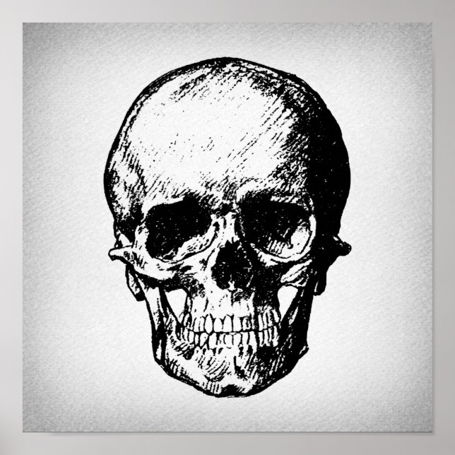 Skull Illustration Vintag Art Poster (Vorne)